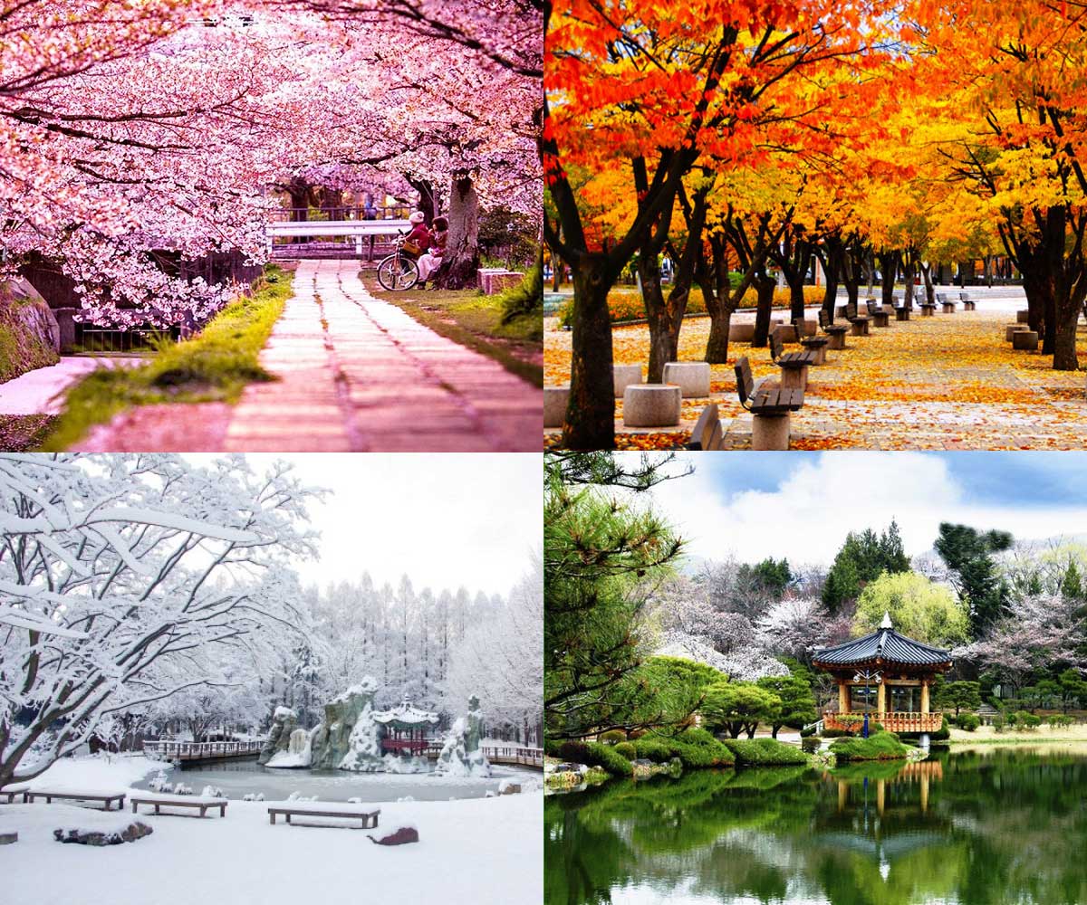 Cảnh đẹp đảo Nami Hàn Quốc