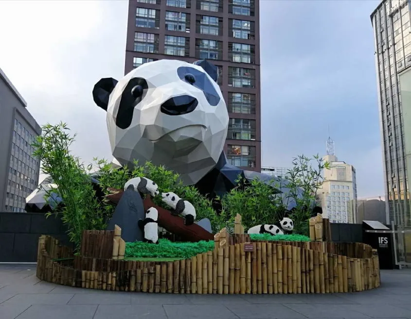 Công viên Gấu Trúc Thành Đô ảnh 2