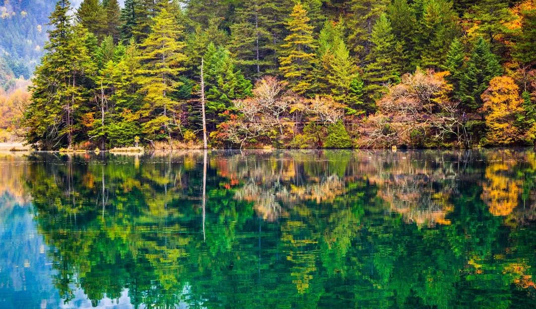 Cửu Trại Câu có bao nhiêu hồ hình 2